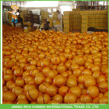 Pomelo fresco de las uvas de la fruta china para Rusia